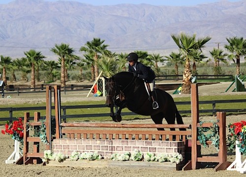 Brooke Sassa and Catwoman Large Junior Hunter 15 & Under 2014 HITS Desert Circuit Photo Flying Horse