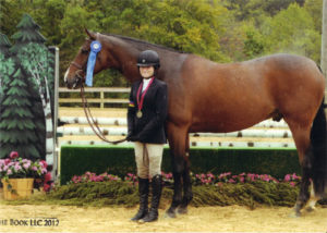 Montague owned by Lily Blavin 2012 USEF National Champion Regular Conformation Hunter Photo The Book LLC