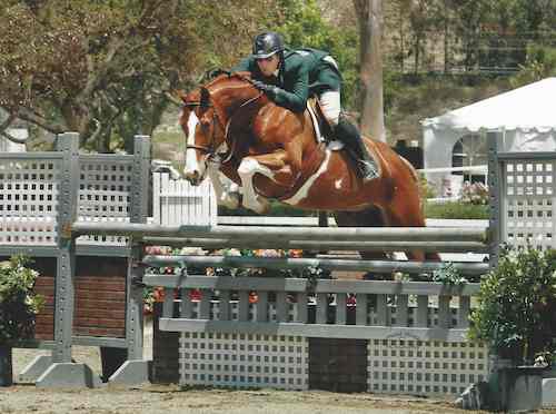 Nick Haness and Banderas owned by Ecole Lathrop Champion High Performance Hunter 2014 Ranch & Coast Photo Captured Moment