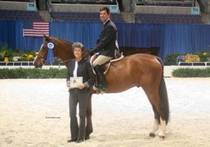 Peter Lombardo and Perfection owned by Ashley Pryde Green Conformation Under Saddle 2008 Washington International Photo Al Cook