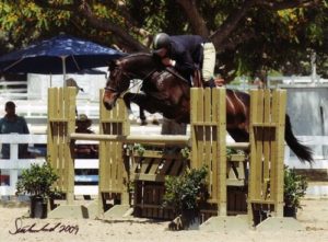 Archie Cox and Masterpiece owned by Erika Ekberg Regular Working Hunters 2009 Showpark Photo Flying Horse