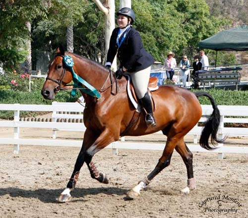 Chelsea Samuels and Bruno Mars 8th Overall CPHA Foundation Finals 22 & Over 2013 Showpark Summer Classic Photo Captured Moment