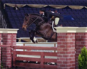 Wynn Alden and Call Me owned by Archie Cox Winner Regular Conformation Hunters 2005 Washington International Photo Al Cook
