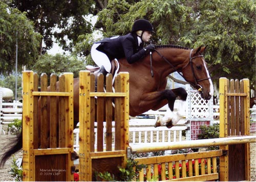 Ashley Pryde and Falcao owned by Brook Flynn Reserve Champion Small Junior Hunters 2009 Showpark Photo Captured Moment
