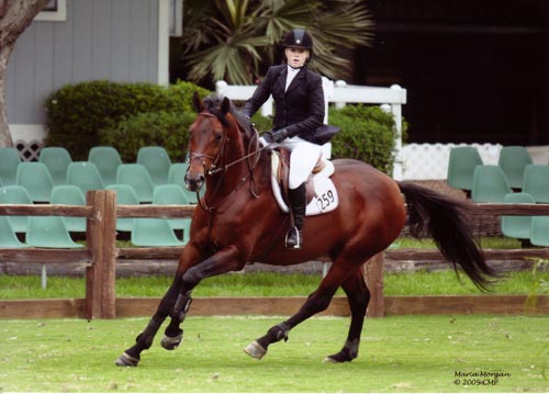 Ashley Pryde and Chaucer Modified Junior-A/O Jumpers 2009 Showpark Photo Captured Moment