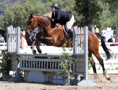 Chelsea Samuels and Bruno Mars CPHA Foundation Finals 22 & Over 2013 Showpark Summer Classic Photo Captured Moment
