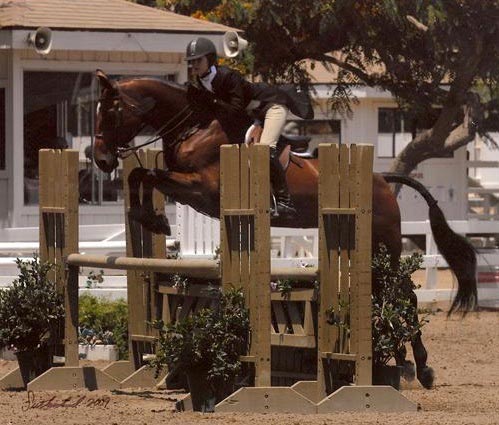 Zoie Nagelhout and Olympia Champion Large Junior Hunters 2010 Showpark of San Diego Photo Flying Horse