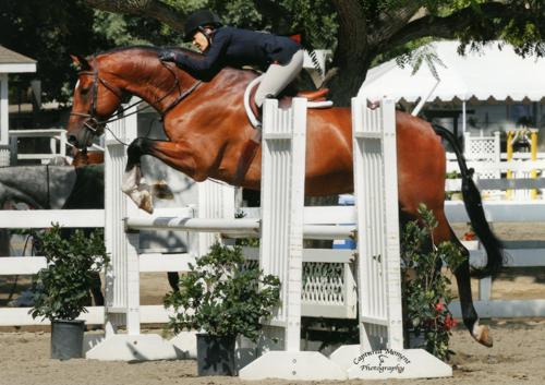 Laura Wasserman and Back in the Game Amateur Owner Hunter 36 & Over 2013 Showpark Summer Classic Photo Captured Moment