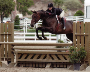 Ashley Pryde and Victory Road Large Junior Hunters 16-17 2010 Showpark Photo Horse in Sport