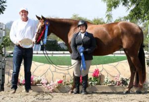 Chelsea Samuels and Adele with Archie Cox Champion Low A/O Hunter 18-35 2013 Showpark Summer Photo Captured Moment