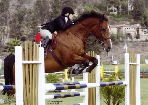Ashley Pryde and Van Gogh Modified Junior-A/O Jumpers 2009 Showpark Photo Captured Moment