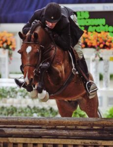 Archie Cox and Beckham owned by Gina Ross Regular Conformation 2011 Washington International Photo Shawn McMillen