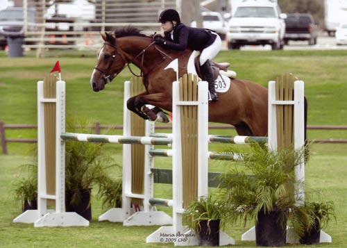 Ashley Pryde and Van Gogh Modified Junior-A/O Jumpers 2009 Showpark Photo Captured Moment