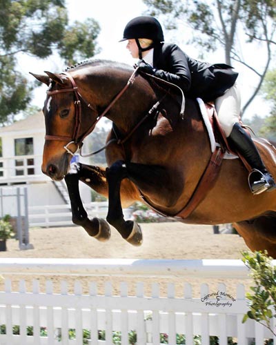 Ashley Pryde and Truly Amateur Owner Hunter 18-35 2012 Showpark Ranch & Coast Photo Captured Moment