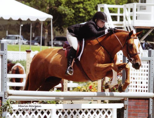 Ashley Pryde and Wesley Champion Small Junior Hunters 16-17 2010 Showpark Photo Captured Moment