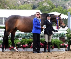 Ashley Pryde and Truly Champion Amateur Owner Hunter Winner Amateur Owner Hunter Classic 2011 Showpark Ranch & Coast Photo Captured Moment