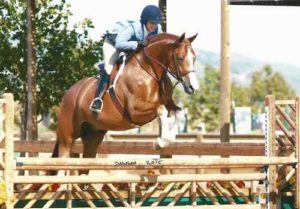 Ecole Lathrop and Banderas Low Adult Hunter 2015 Giant Steps Charity Classic Sonoma Horse Park Photo Deb Dawson
