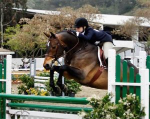 Ashley Pryde and Truly Champion Amateur Owner Hunter Winner Amateur Owner Hunter Classic 2011 Showpark Ranch and Coast Photo Captured Moment