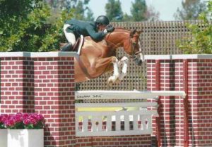 Nick Haness and Banderas owned by Ecole Lathrop Champion High Performance Hunter 2015 Giant Steps Charity Classic Sonoma Horse Park Photo Deb Dawson