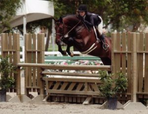 Sydney Calloway and In Sync owned by Stephanie Danhakl Large Junior Hunters 15 & Under 2010 Showpark Photo Horse in Sport