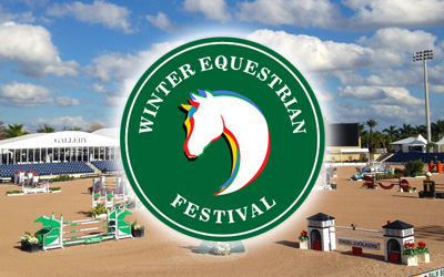 wef equestrian festival winter judging
