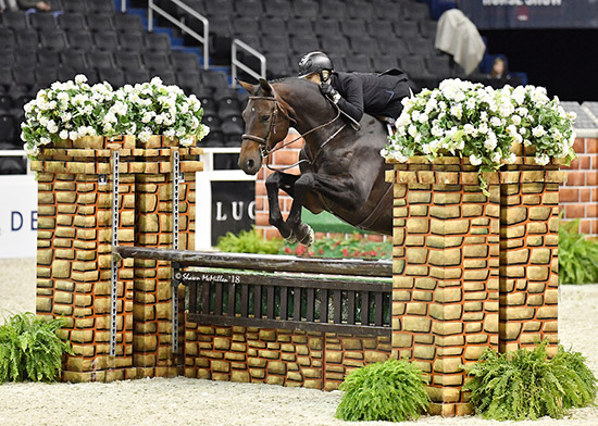 Virginia Fout and Carma 2018 National Horse Show Amateur Owner Hunter 3'3" Over 35, Champion Photo by Shawn McMillen