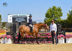 Laura Wasserman and Bocelli Amateur Owner Hunter 3'3" Champion 2019 Giant Steps Charity Classic Photo by Grand Pix Photography
