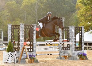 Jorge Hidalgo Duran and Charlie Boy 2019 Capital Challenge Adult Jumper Photo by Shawn McMillen