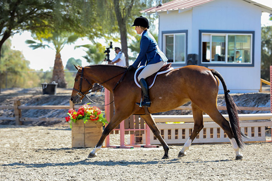 Ecole Lathrop and Eclair Adult Equitation Champion 2019 National Sunshine Series Photo by Laura Wasserman