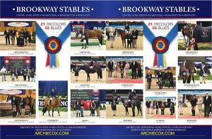 2017 Brookway Stables Wins and Champions Capital Challenge, PA National, WIHS & National Horse Show
