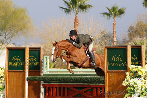 Archie Cox and Meredith Mateo's Highlander Green 3'9" 2019 HITS Desert Circuit Photo by Zambrano