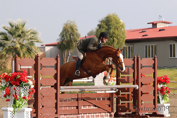 Archie Cox and Meredith Mateo's Highlander Green 3'9" 2019 HITS Desert Circuit Photo by Zambrano