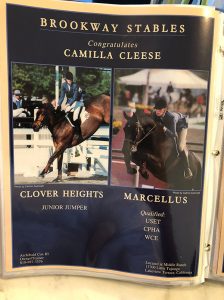 Camilla Cleese, Clover Heights and Marcellus