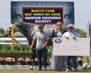 Gaspar Navarro and Banksy Makoto Farm Best Turned Out Horse Winning Groom Award 2018 Blenheim Equisports Photo by McCool