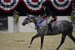 Karli Postel and Banksy 2018 Capital Challenge WCHR Emerging Professional National Champion Photo by Emily Williams