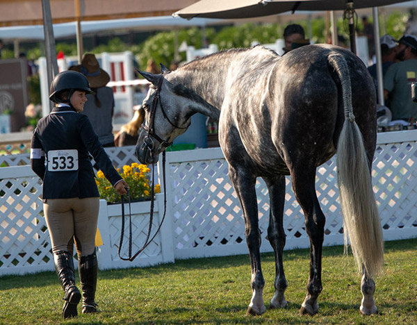 Stella Wasserman and Grace Russo's Banksy 2018 Menlo Charity Horse Show Large Junior Hunter 15 & Under