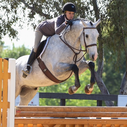 temecula valley national horse show