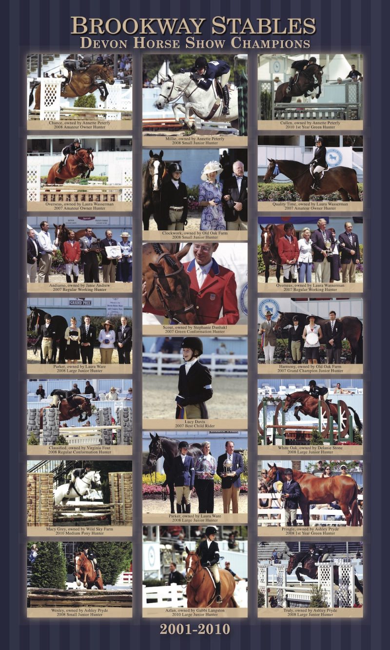Devon Horse Show Champions Poster Archie Cox Brookway Stables