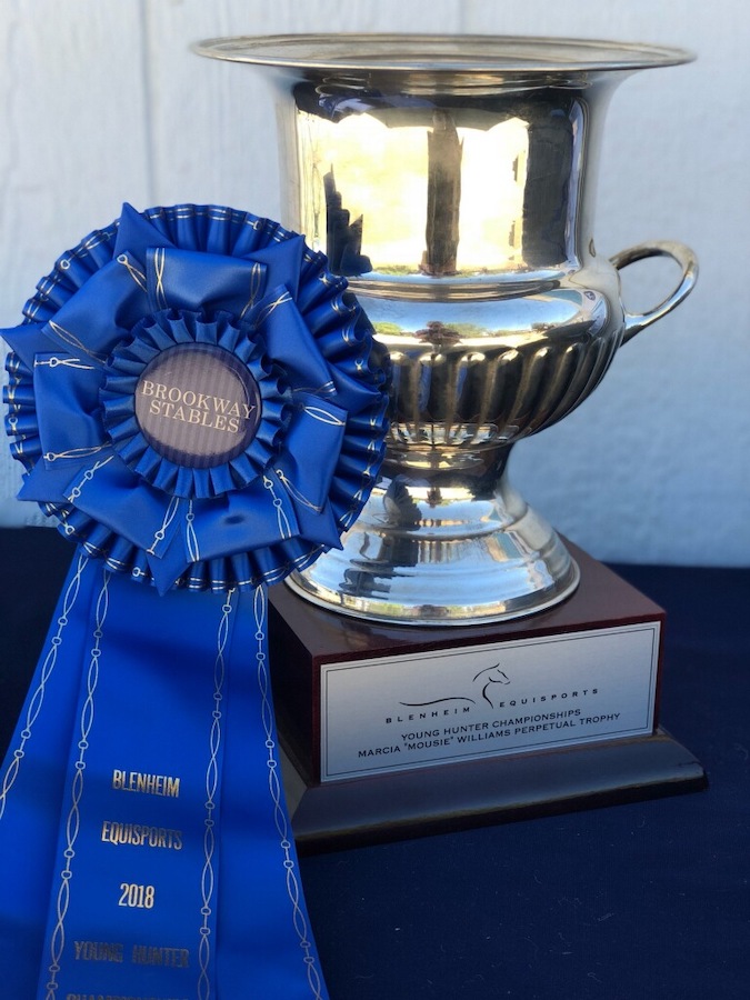 Brookway awards at Blenheim Young Hunter Champs Perpetual Trophy