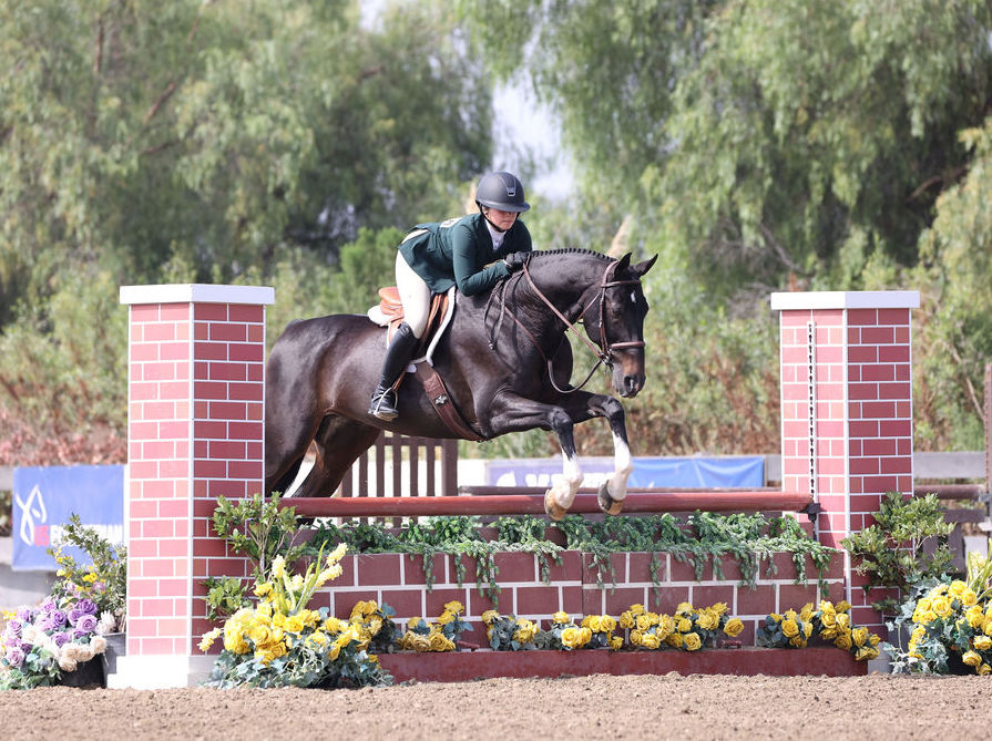 Slate Mellencamp Arroyave and Canturo T 3'3" Small Junior Hunter 2023 Blenheim EquiSports Photo by McCool