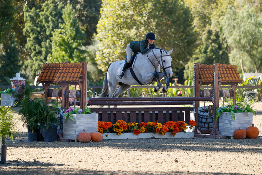 Julie Henderson and Major VF 3'3" Amateur Owner Hunter, Handy Round - 36 & Over 2023 Temecula Valley Horse Show 3 Photo by Captured Moment Photo