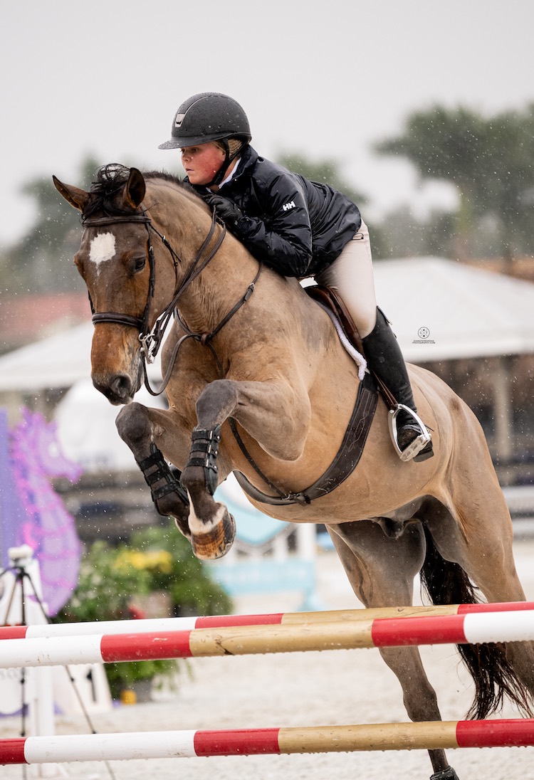 Intornesch, owned by Ashland Farms, with Violet Tatum 2023 Holiday Finale Horse Show Equitation and Medals Wellington, FL Photo by Giana Terranova Photography