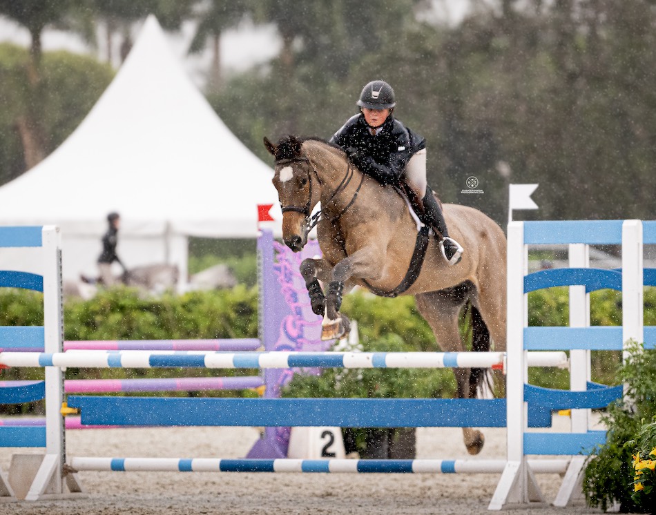 Intornesch, owned by Ashland Farms, with Violet Tatum 2023 Holiday Finale Horse Show Equitation and Medals Wellington, FL Photo by Giana Terranova Photography